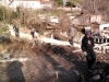 Area cleared for main house 