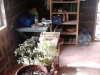 2013 03 06 12h28 Day 38 The bottom shed comes into use as the garden store